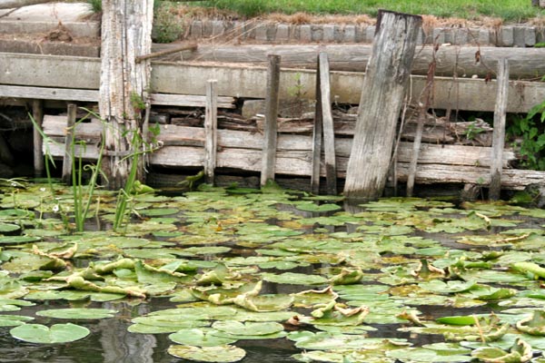 Killikus&reg; Fotographie